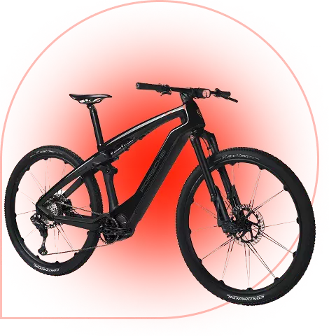 Porsche eBike Sport